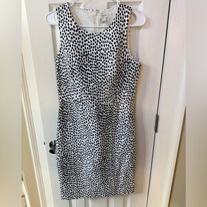 J Crew Classic Navy and White Polka Dot Dress Fully Lined Preppy Classy 6